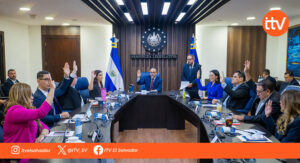 Comisión Política abre consultas para ratificar cadena perpetua y reformas penales