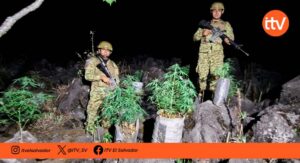 FAES reporta capturas de pandilleros y decomisos de droga en 2026