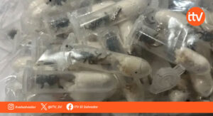 Hallan 20 tarántulas olvidadas en un tren en Alemania