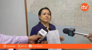 Cesia Rivas busca liderar Vamos y plantea una dirección colectiva