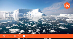 Aguas cálidas avanzan hacia la Antártida y elevan riesgo de deshielo, advierte estudio