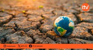 Cambio climático podría llevar a la extinción a miles de especies de plantas antes de 2100