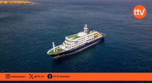 OMS descarta alto riesgo por posible brote de hantavirus en crucero con tres fallecidos