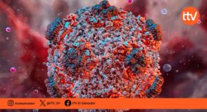 Brote de hantavirus en crucero deja tres muertos y enciende alertas sanitarias