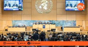 OMS debate brotes sanitarios y crisis globales en asamblea mundial en Ginebra