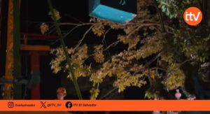 Rescatan a 19 personas atrapadas en rueda mecánica en Izalco