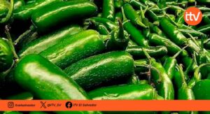 Alerta por brote de salmonela asociado a jalapeños mexicanos en Estados Unidos