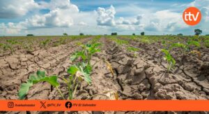 Sequía en El Salvador alcanza nivel moderado tras 13 días sin lluvias