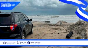 Localizan con vida a nadador reportado como desaparecido en Long Island