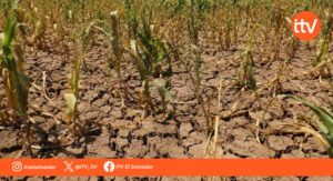 El Niño amenaza con sequías intensas en El Salvador durante 2027